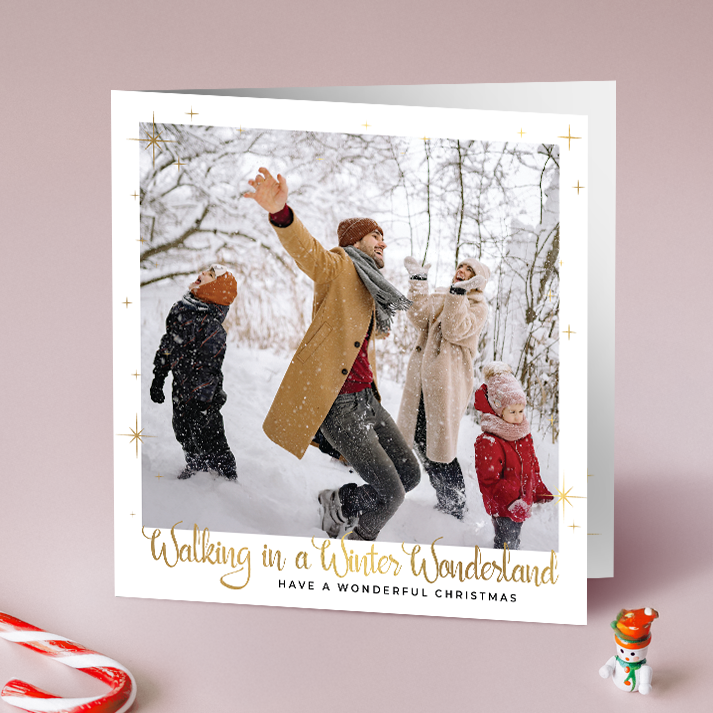 Winter Wonderland Pack of 10 Personalised Christmas Cards