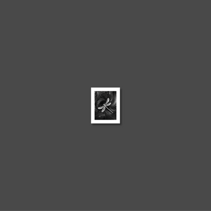 ABSTRACT DRAGONFLY **UNFRAMED ART PRINT**