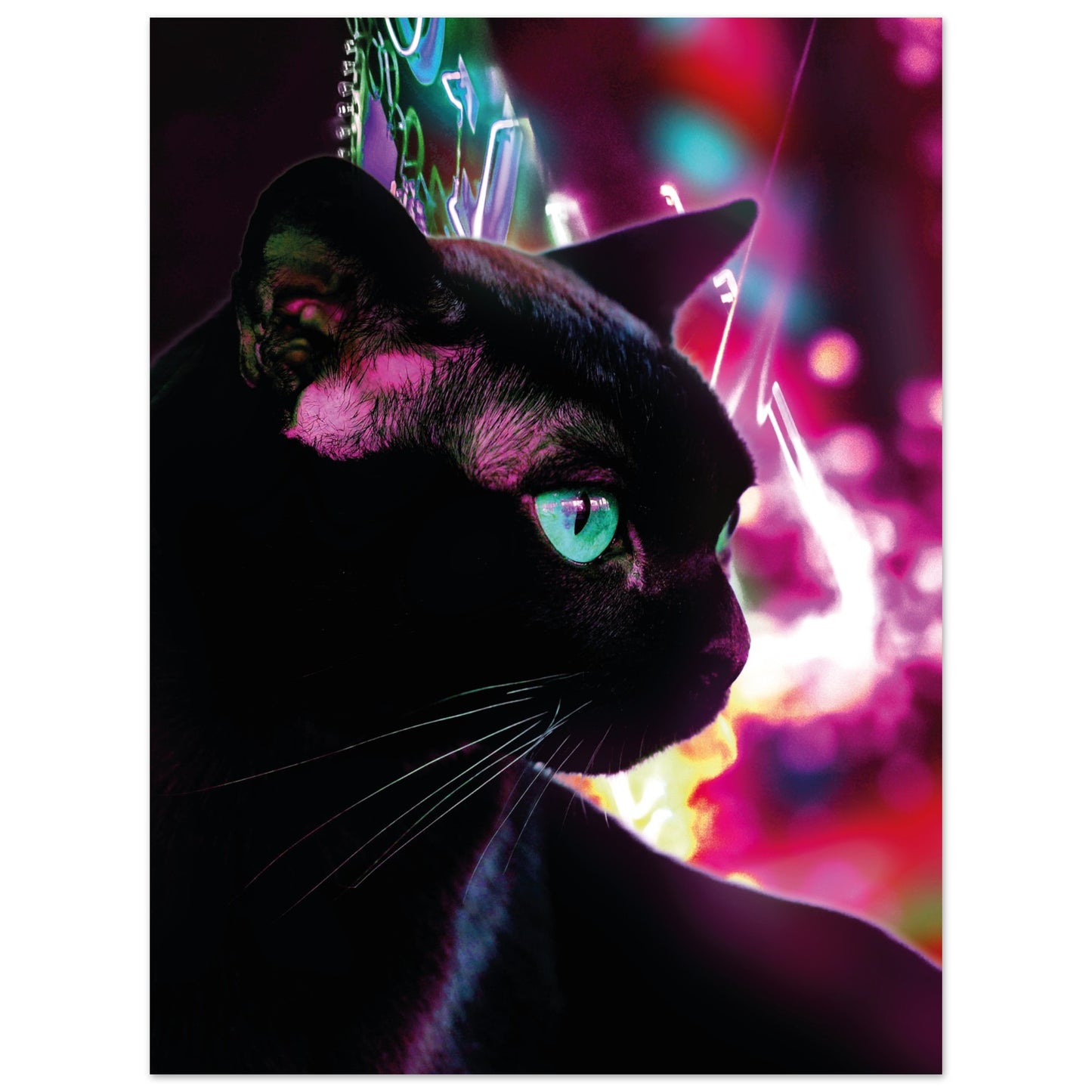 a2730903-0055-45d4-a4b5-41f1100ad90d
